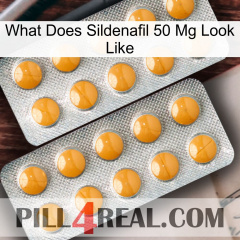 What Does Sildenafil 50 Mg Look Like levitra2